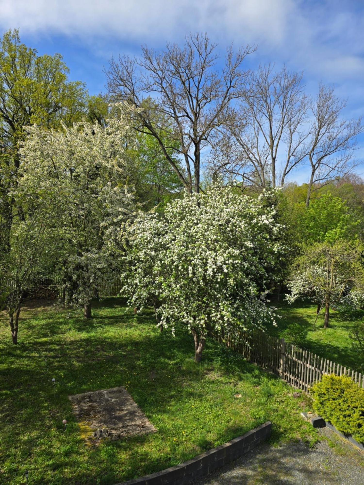 קמניץ Villa Kuechwald מראה חיצוני תמונה