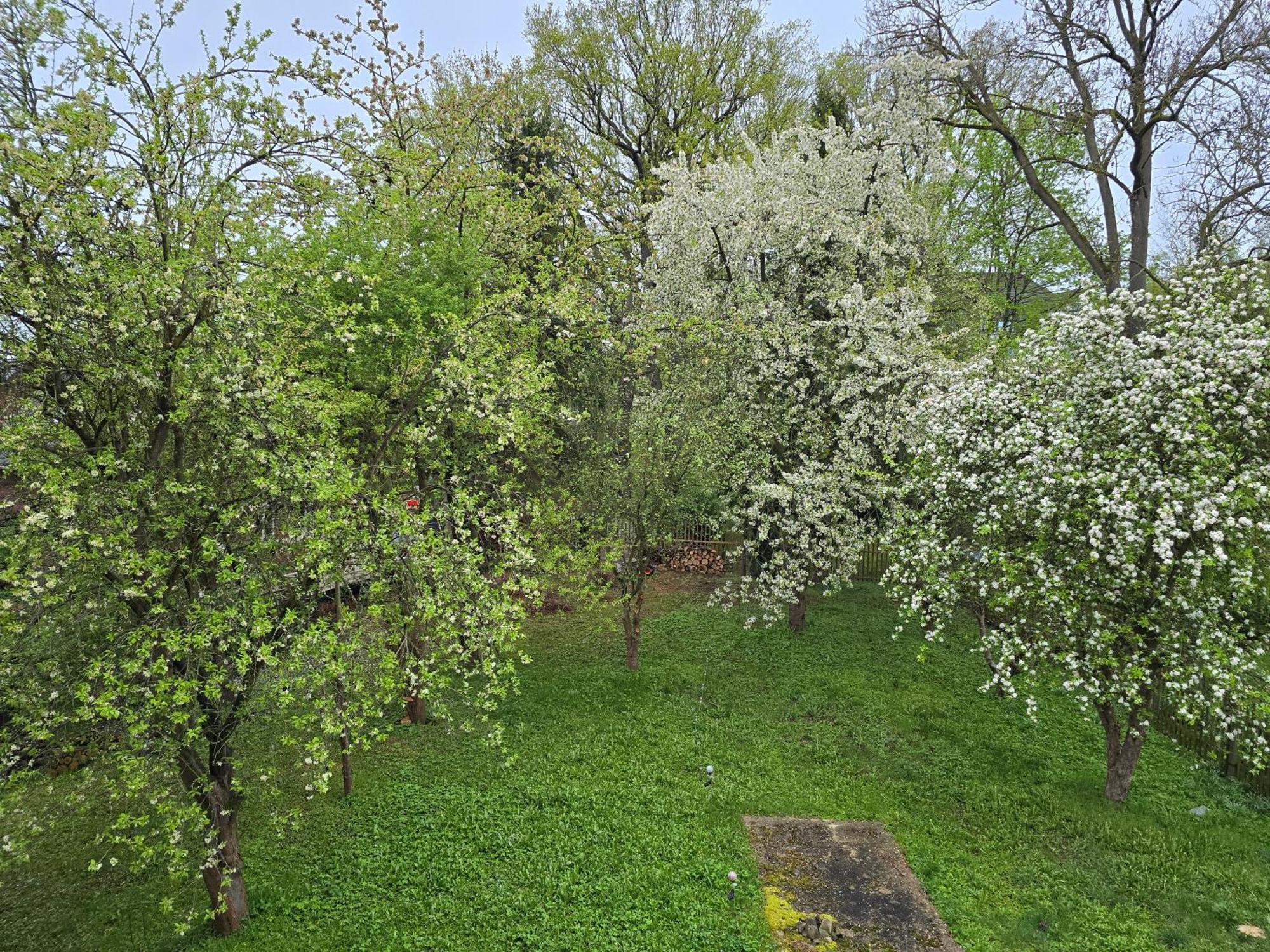 קמניץ Villa Kuechwald מראה חיצוני תמונה